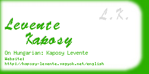 levente kaposy business card